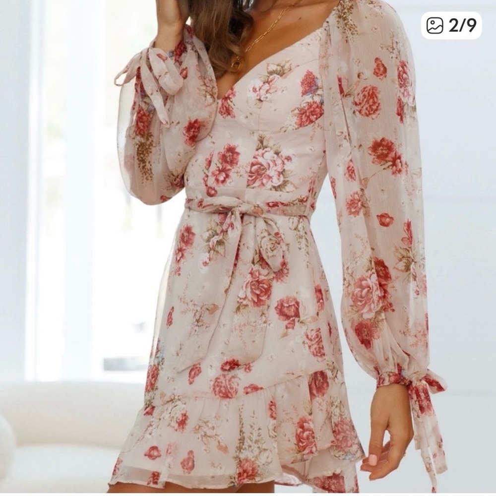 Hello Molly Blush Cream Pink Romantic Floral Chiffon Mini Dress Size 4